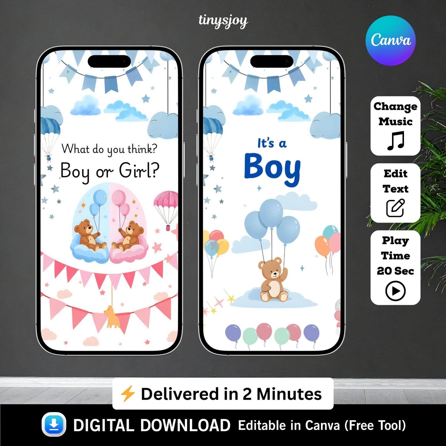 Gender Reveal Video – Editable Canva Digital Announcement